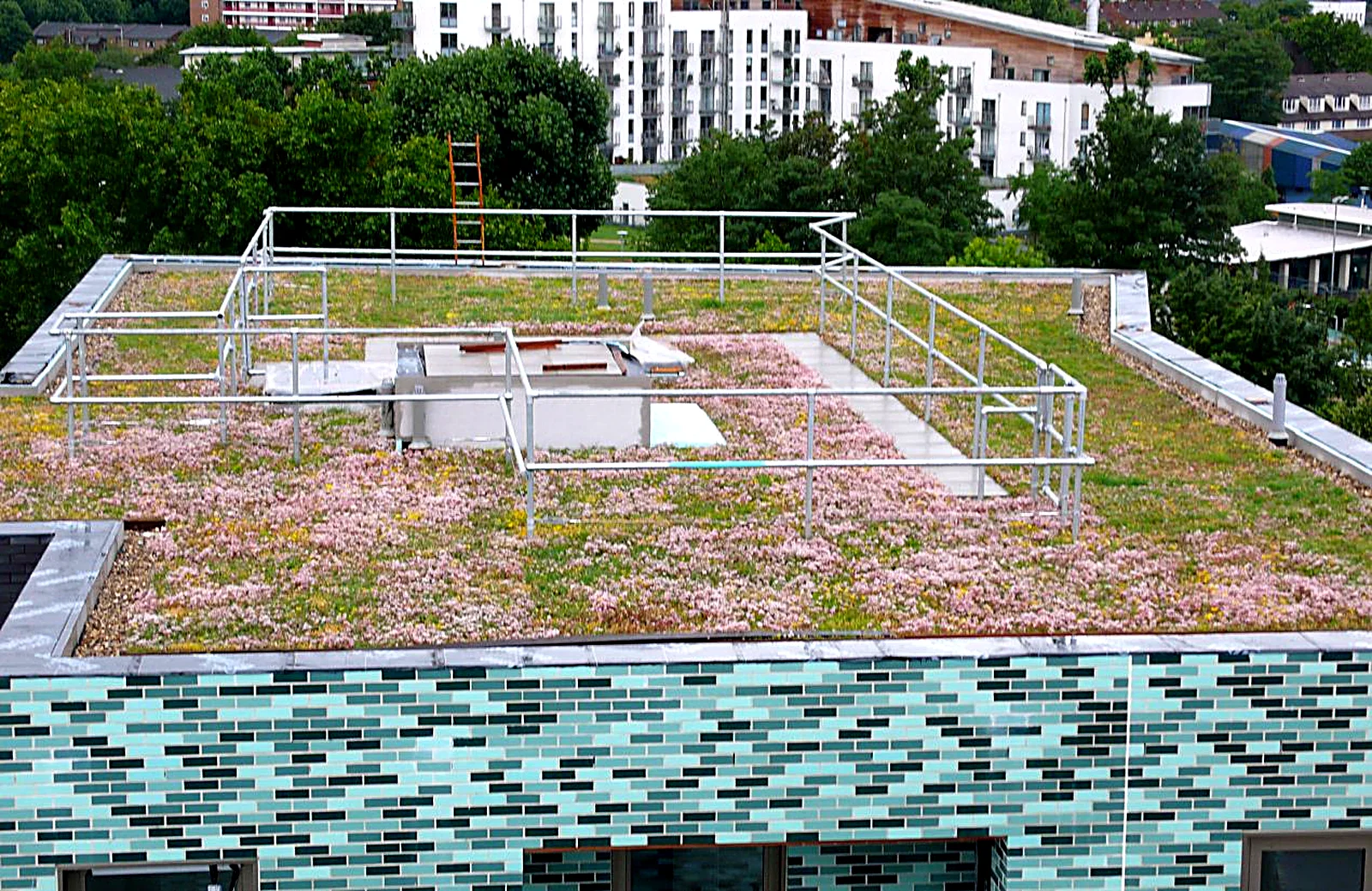 Sedum green roof with a safety guardrail on a city building