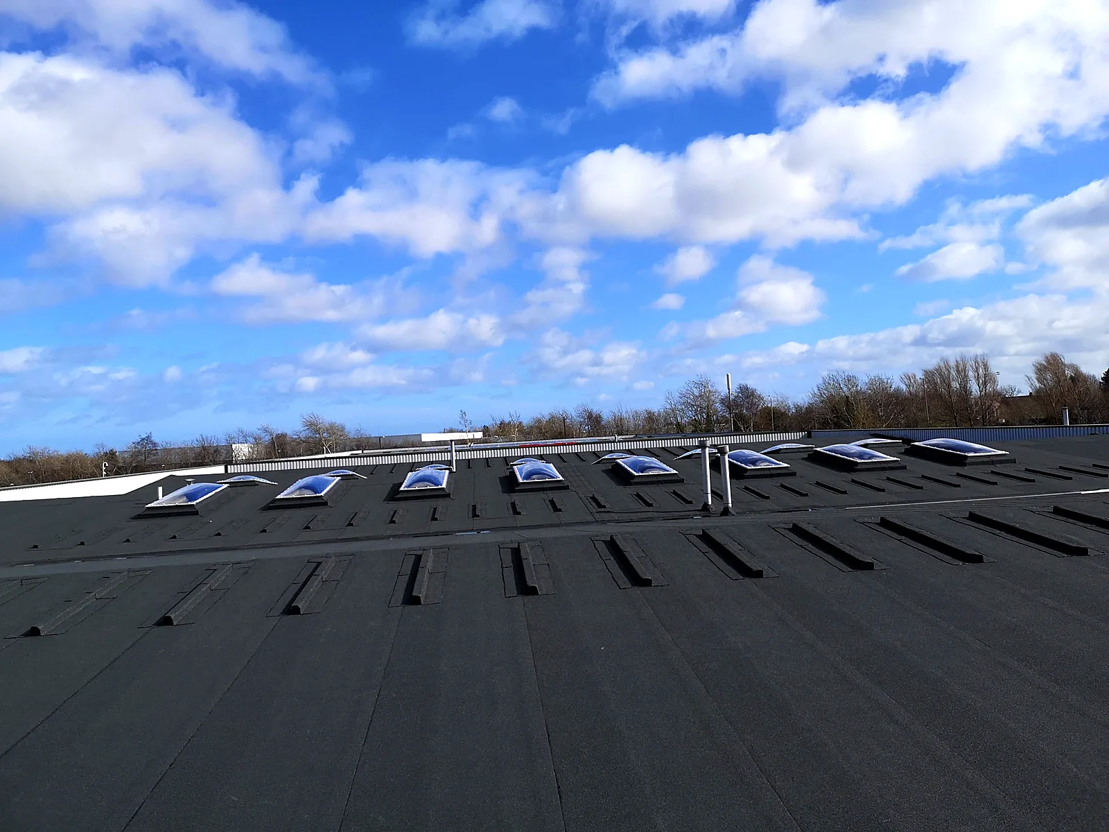 New felt roof with a row of rooflights under a blue sky